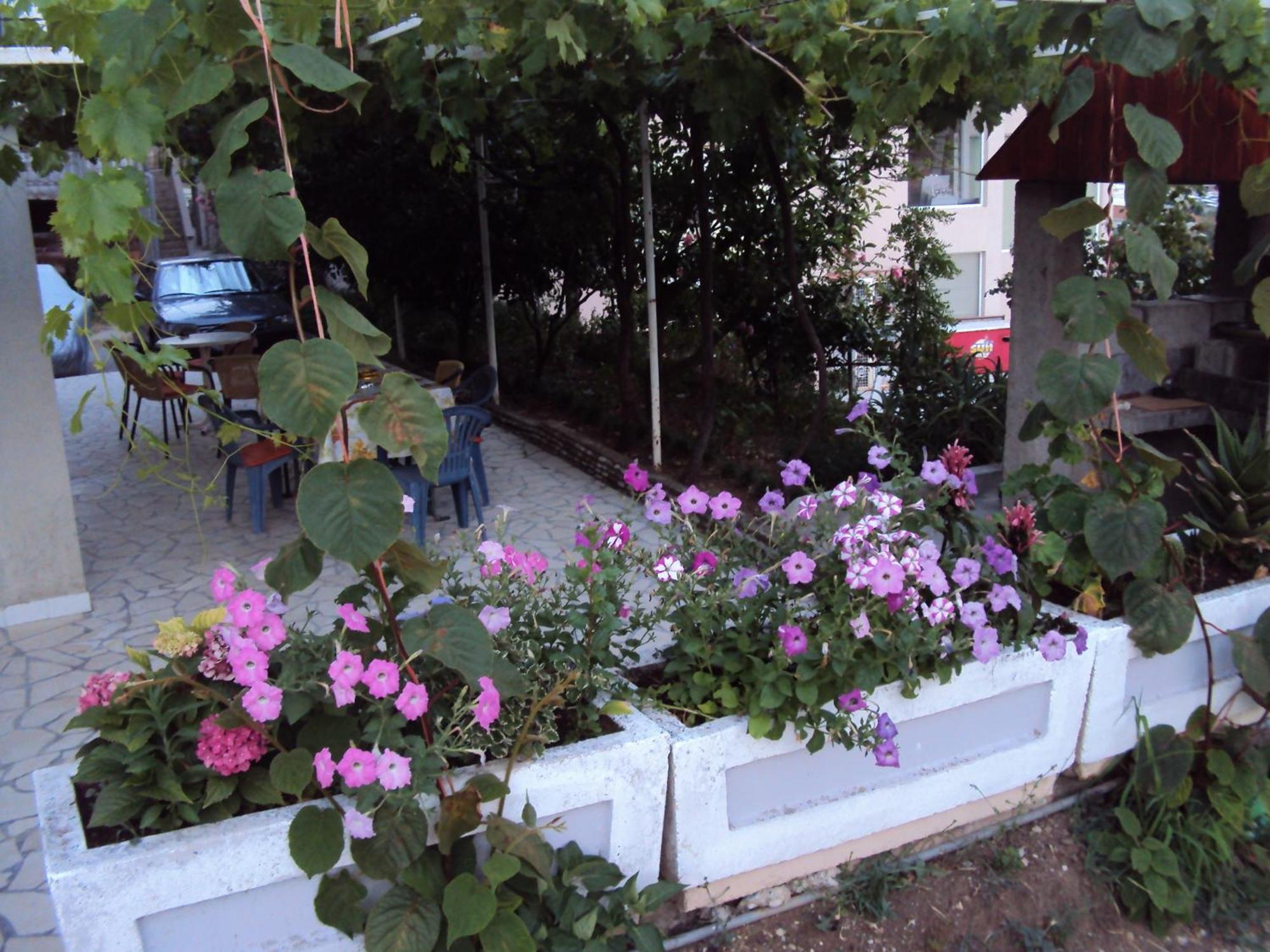 Apartments Papan Petrovac na moru Exterior foto